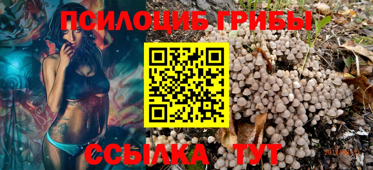 Воткинск  Псилоцибиновые грибы мицелий  Вход с VPN  Галлюциногенные грибы мухоморы 