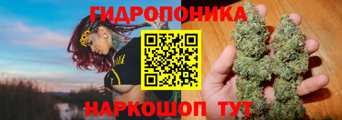 Марихуана марихуана  Вход с VPN  МАРИХУАНА планчик  Каннабис THC 21%  Шишки марихуана SATIVA & INDICA  Воткинск 